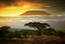 Keenia safari ja rand