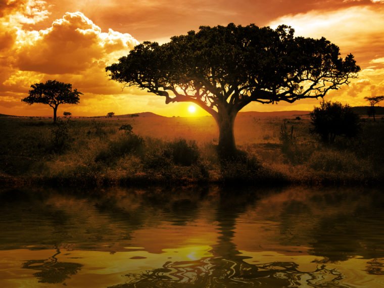 Africa, sunset