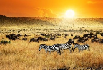 Ranna-safaripuhkus Keenias