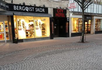 WRC Rootsi ralli 2020 (tavapakett autorendiga)