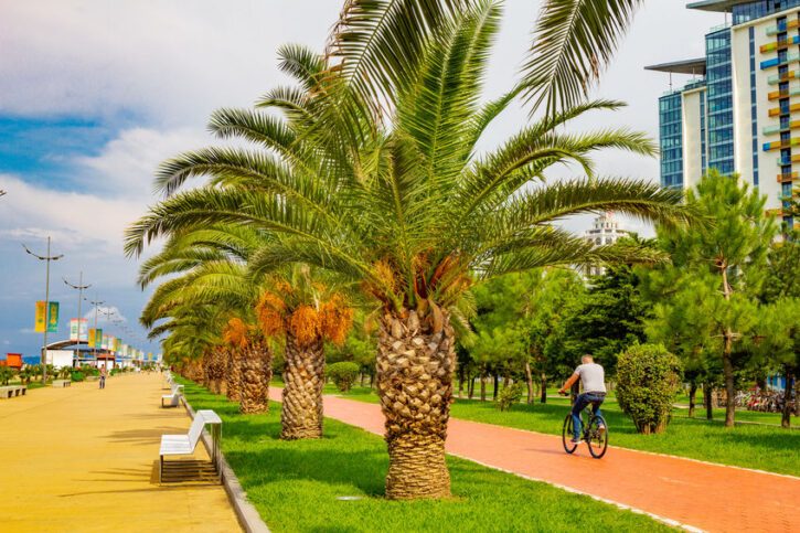 Beautiful view to Bicycle path for traffic along the embankment of the new Boulevard of Batumi near the singing fountains of Batumi. Park with palm trees near promenade of Batumi black sea. Georgia