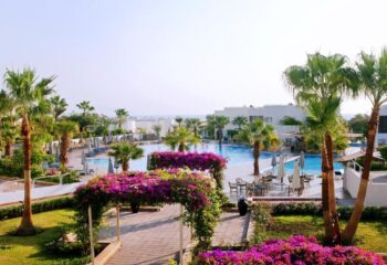 Sharm Reef (Sharm el Sheikh)