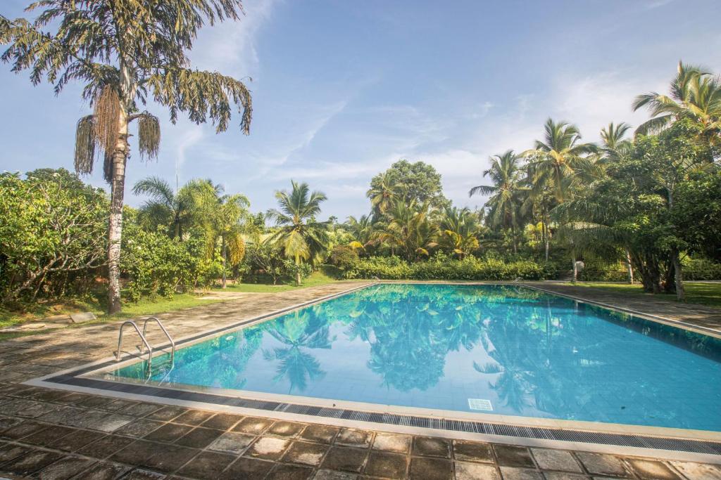 Coastal Village Cabanas Hotell Sri Lanka