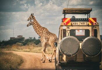 Safari Amboseli ja Tsavo East rahvusparkides ja rannapuhkus (privaatgrupid)