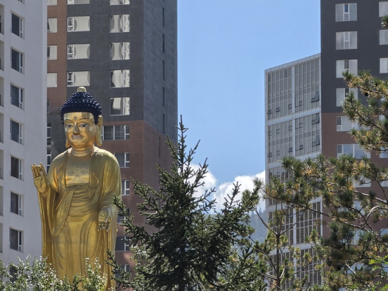 Kuldne püstine Buddha kuju Ulaanbaatari kaasaegsete korterelamute ja puude vahel.