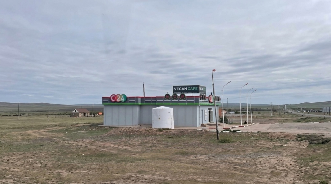 Maanteeäärne hall moodsa ilmega hoone Mongoolia tasandikul siltidega "Vegan Cafe" ja "C24".